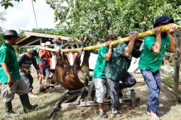 Kukar latih 30 juru sembelih halal hadapi Idul Adha