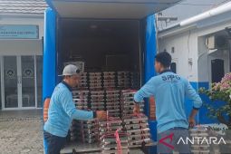Program MBG di Pangkalpinang serap 1.000 tenaga kerja