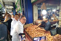 Menko Zulhas sebut pergantian pimpinan BGN jadi momentum perkuat MBG