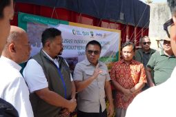 Bapanas pastikan distribusi SPHP jagung tepat sasaran bantu peternak