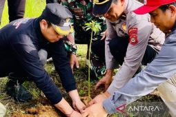 Pemkab Bangli tanam pohon mitigasi rawan longsor