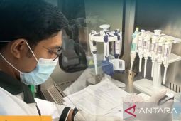 BKHIT Maluku uji PMK pada kerbau asal Namlea jelang Idul Adha