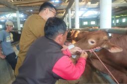Sumedang siapkan layanan cepat tanggap antisipasi penyakit hewan kurban