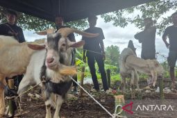 Sumedang catat kebutuhan hewan kurban 1447 H naik 15 persen