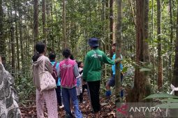 Kehutanan Kaltim tingkatkan kapasitas penyuluh swadaya