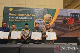 Kodam Pattimura kelola 1.454 hektare sawah dukung swasembada pangan nasional