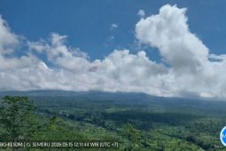 Semeru erupsi disertai awan panas guguran