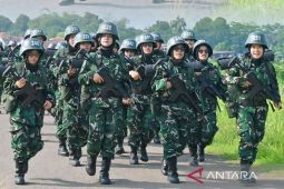 ASN Komcad jalani latihan simulasi tempur