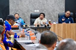 Ribka Haluk: Pemerintah hadir pulihkan situasi keamanan di Wamena