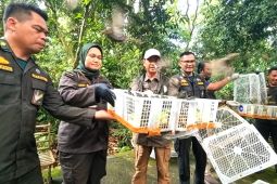 Balai Karantina NTB lepasliarkan ribuan ekor burung ke TWA Suranadi