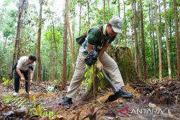 Otorita IKN ajak pengunjung tinggalkan jejak hijau lewat penanaman 150 bibit