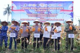 Dukung ketahanan pangan, Polda Banten panen 29,5 ton jagung