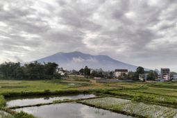 Erupsi Gunung Marapi semburkan abu vulkanik setinggi 500 meter