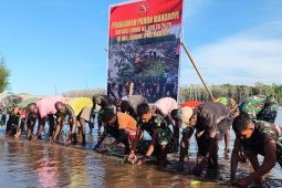 Satgas TMMD dan warga Kekwa tanam ribuan bibit mangrove