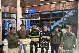 Kodaeral Sorong dan BBKSDA gagalkan penyelundupan delapan satwa di Sorong
