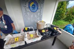 Satgas perbatasan gagalkan penyelundupan 2.253 butir telur penyu