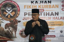 Wabup Belitung: Pelatihan "Juleha" bentuk SDM penyembelih halal
