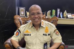 Satpol PP DIY mengingatkan bahaya sengatan ubur-ubur di pantai selatan
