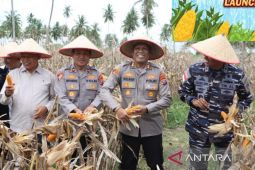 Hasilkan 6 ton, Polres Tanjungbalai panen raya jagung dukung Asta Cita Presiden