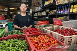 PIHPS: Harga cabai rawit Rp72.500/kg, telur ayam Rp30.300/kg