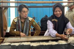 Pemkot Singkawang beri pelatihan tenun tingkatkan industri kreatif
