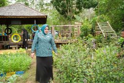 TP PKK Tapin optimalkan pekarangan untuk ketahanan pangan