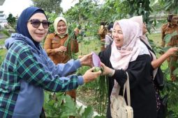 Masyarakat Simalungun diajak manfaatkan pekarangan rumah dengan tanaman bermanfaat