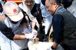 Petugas di Banyuwangi mulai periksa kesehatan hewan kurban
