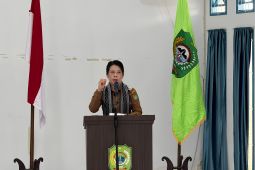 Pemkot Singkawang dukung pengembangan industri kreatif berkelanjutan