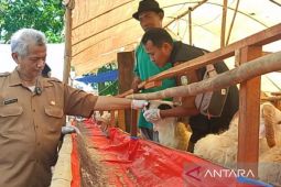 Indramayu perketat pemeriksaan hewan kurban jelang Idul Adha