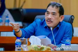 Anggota DPR usulkan skema kredit berbasis aset kreatif bagi UMKM