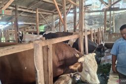 Bandung Barat catat 2.829 hewan kurban berkondisi sehat