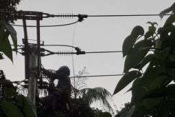 PLN ULP Namlea intensifkan pemulihan gangguan kelistrikan dampak cuaca ekstrem di Kabupaten Buru