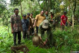 Deklarasi Kader Konservasi Hutan