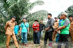 Pemkot Sawahlunto siapkan regenerasi petani perkuat ketahanan pangan
