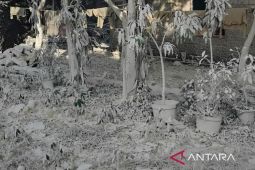 Kebocoran bahan baku semen sebabkan "hujan abu" di Kemang Kabupaten Bogor
