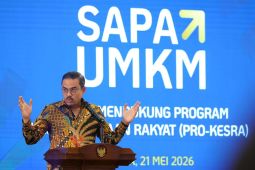 Data UMKM belum akurat, pemerintah luncurkan SAPA UMKM