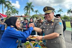 Gubernur Babel tingkatkan profesionalisme Satpol PP dan Damkar