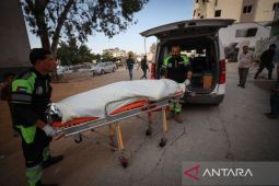 WHO Ungkap Krisis Kesehatan Dahsyat di Palestina