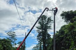 PLN bersihkan 211 KMS jaringan listrik di Tanah Papua