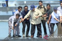 Prabowo tinjau panen raya udang di Tambak Budidaya Kebumen