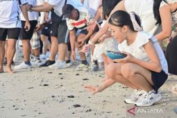Peringatan World Turtle Day diisi dengan pelepasan tukik di Pantai Sanur