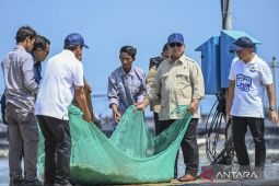 Presiden Prabowo tinjau panen raya udang di Tambak Budidaya Kebumen