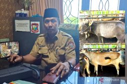 Idul Adha 1447 H, Pemkot Tanjungbalai siapkan 17 hewan kurban ASN