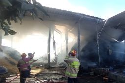 Kebakaran pabrik gula di Tulungagung akibatkan kerugian Rp200 juta