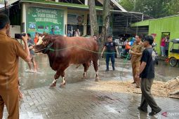 Pemprov Gorontalo pastikan hewan kurban jalani pemeriksaan kesehatan