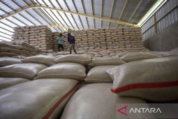 Beras melimpah! Bulog dorong kapasitas gudang hingga tujuh juta ton