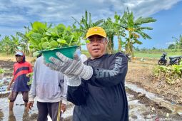 Rutan Situbondo dan Perhutani bina warga binaan pemasyarakatan