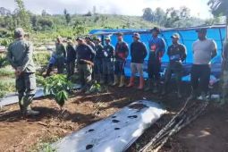 TNKS Seksi VI Bengkulu pulihkan ekosistem kawasan di Rejang Lebong