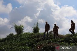 Banjarmasin greens former Basirih landfill
